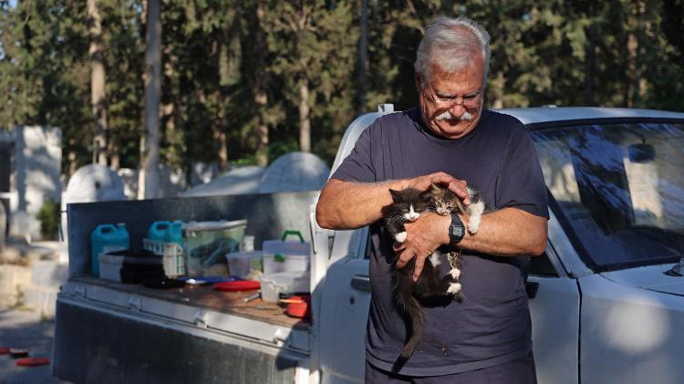 O presidente da Cats PAWS Cyprus, Dinos Ayiomamitis, estimou que pelo menos 300 mil gatos morreram da doença desde janeiro