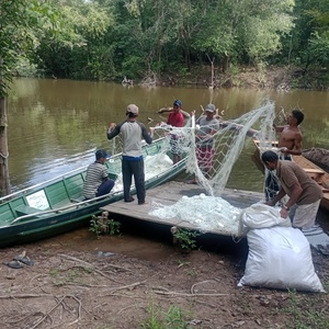Reprodução/APADRIT