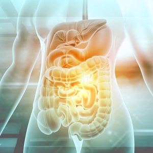 O que comer para turbinar a saúde do intestino