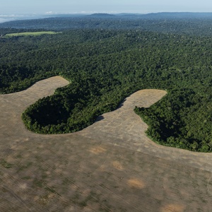 Lalo de Almeida -04.mai.2025/Folhapress