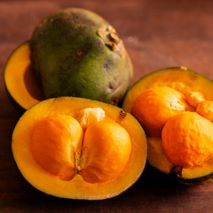 Getty Images/iStockphoto