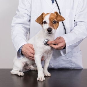 Getty Images/iStockphoto