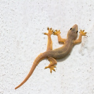 Getty Images/iStockphoto