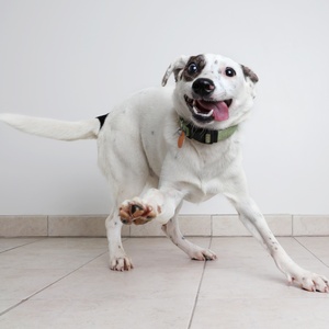 iStock