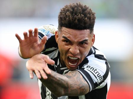 Vítor Silva/Botafogo