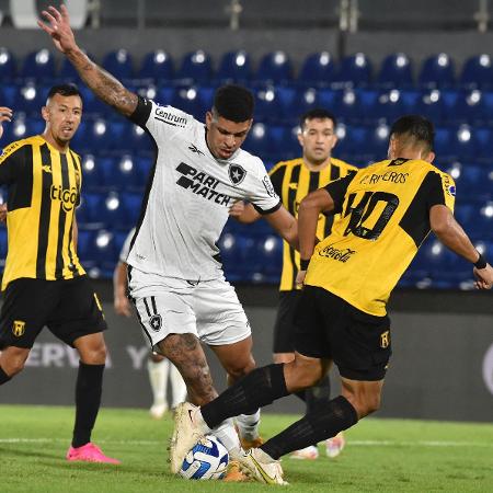 Em dia de festa, Botafogo empata no Engenhão e impede acesso do Guarani -  28/11/2021 - UOL Esporte