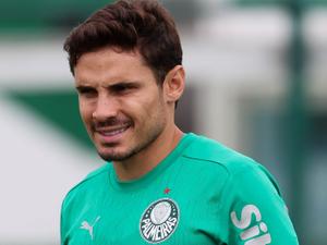 Cesar Greco/Palmeiras