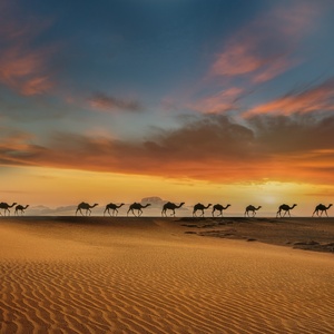 Abo-Nasser Alzahrani/Getty Images