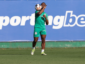 Cesar Greco/Palmeiras