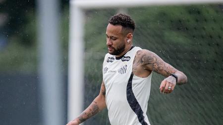 Raul Baretta/ Santos FC