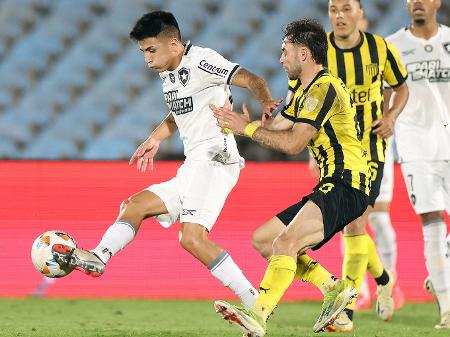 Vitor Silva/Botafogo Vitor Silva/Botafogo