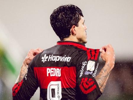 Pedro dá show, Flamengo goleia Chapecoense e não deixa Palmeiras disparar