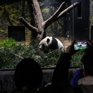 Jia Haocheng / Xinhua 