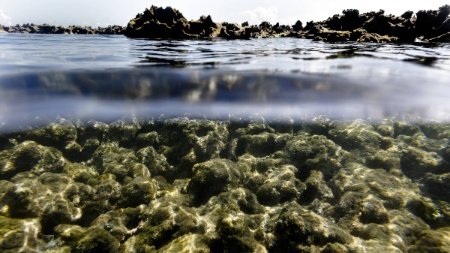 Rubens Cavallari/Folhapress