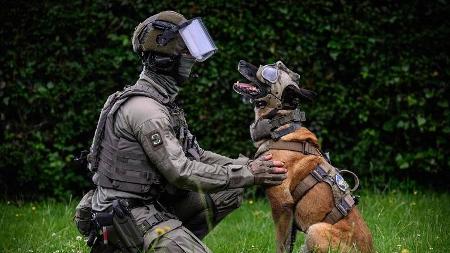 Lionel Bonaventure /AFP
