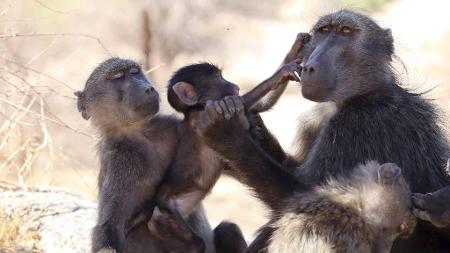 Axelle Delaunay via The New York Times