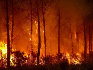 Incêndios de grandes proporções avançam pela França