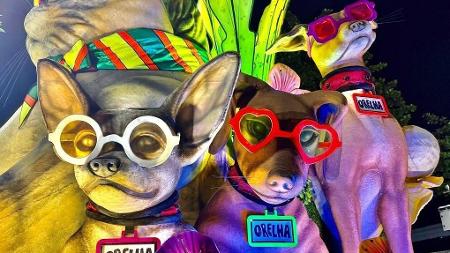 Ana Carolina Fernandes/Folhapress