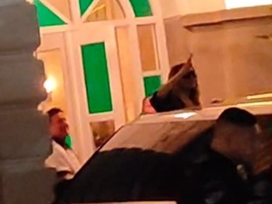 Arquivo pessoal Arquivo pessoal