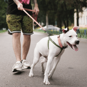 Oleksii Boiko/Valeriia Boiko/Canva