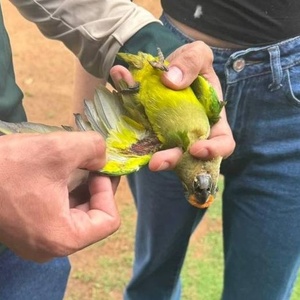 Leonardo Moreira Leonardo Moreira