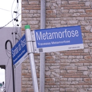 Thiago Rocha Domingos