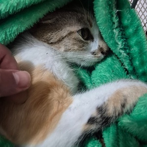 Polícia Civil do Paraná 