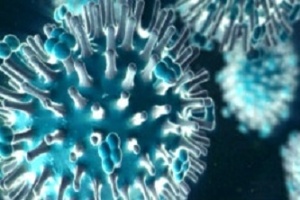 Divulgação/Novartis Vírus da gripe suína