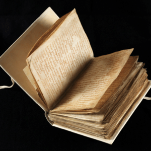 Bern Burgerbibliothek via Universidade de St. Andrews