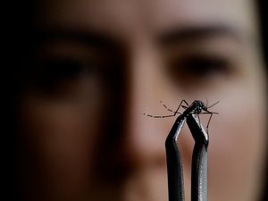 Ueslei Marcelino/Reuters