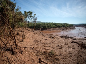 Gaspar Nóbrega/SOS Mata Atlântica
