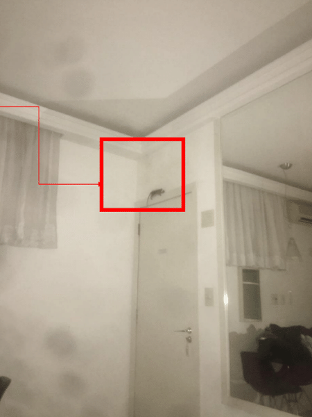 Ela conseguiu fotografar o animal e juntou a prova no pedido de indenização na Justiça.