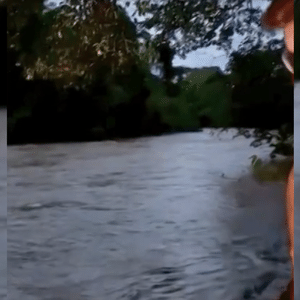 Reprodução / TV IN