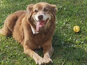 Reprodução/Facebook