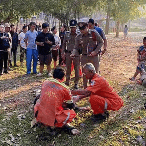 Reprodução / Redes Sociais 