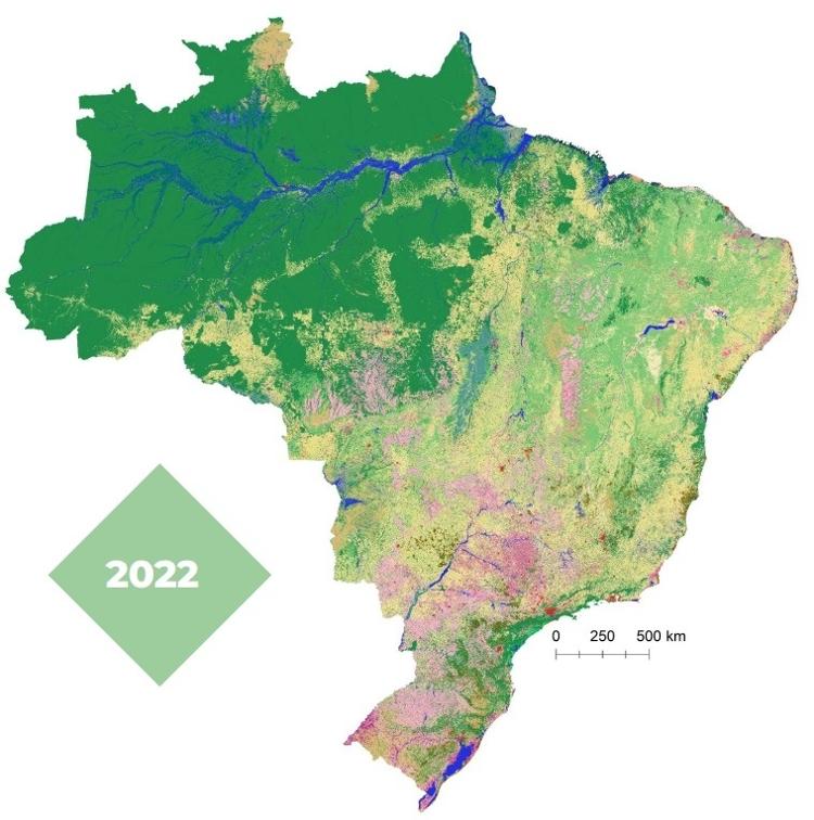 Mapa de vegetação nativa do país Mapa de vegetação nativa do país