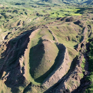 Divulgação/Noah's Ark Scans