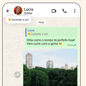 Divulgação/WhatsApp