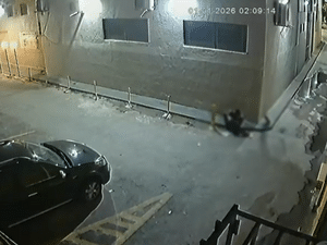 Reprodução / Polícia Civil de GO