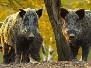 Getty Images/iStockphoto