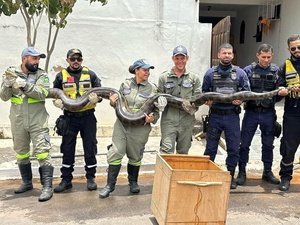 Divulgação/Anjos do Cumbe