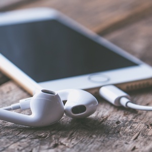 Jessica Lewis/ Pexels