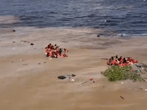 Reprodução/Redes Sociais