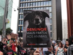 Angélica Alves/Fotoarena/Estadão Conteúdo