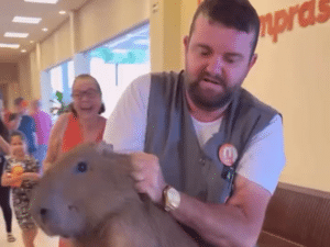 reprodução/@admconsorcio