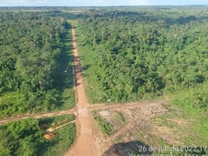 MPF/Reprodução dos Autos