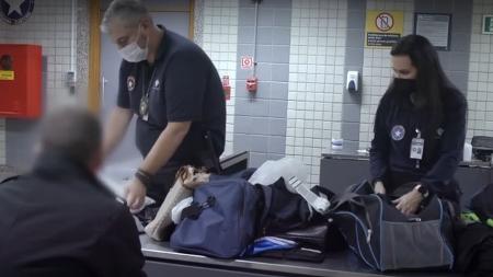 Datena, Luciana Gimenez, Virginia , Cariúcha e Ronnie Von em foto montagem