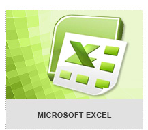 Microsoft Excel 2010